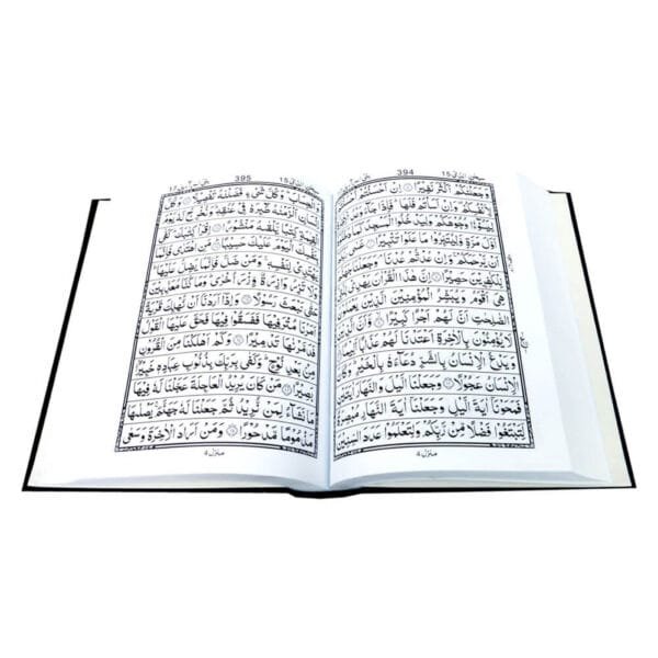 The Holy Quran - Image 3