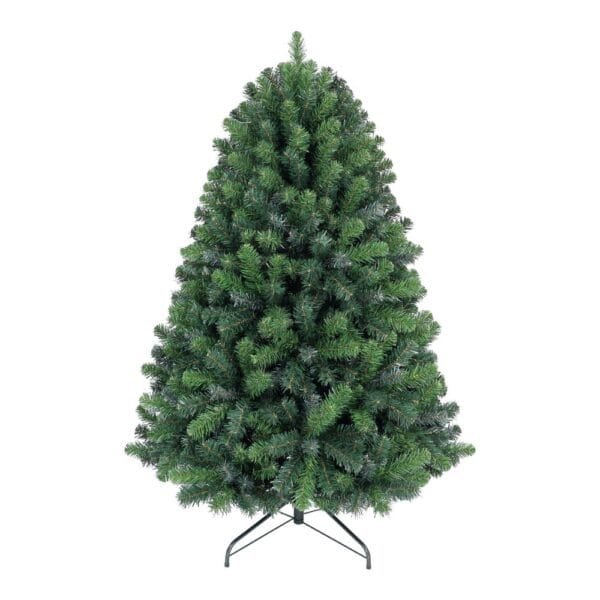 5ft Texas Blue Spruce Christmas Tree