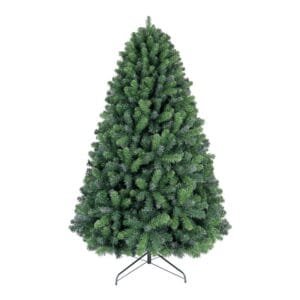 6.5ft Texas Blue Spruce Christmas Tree