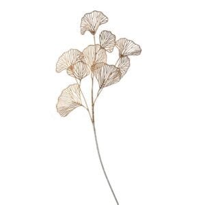Gold Eucalyptus
