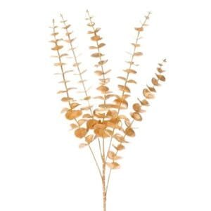 Gold ginkgo