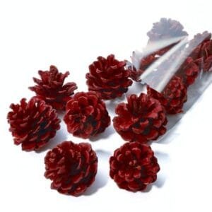 Christmas Accessories