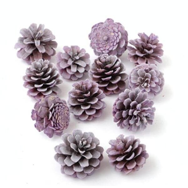 Pine cone purple