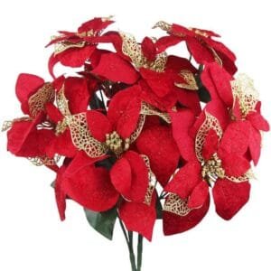 Poinsettia Flower 5L-gold leaf