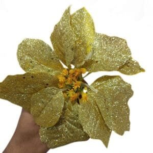 Poinsettia flower gold 5l-1