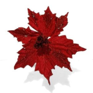 Velvet Red Poinsettia Flower