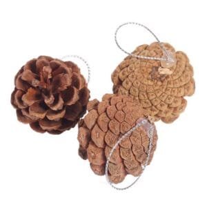 christmas pinecone brown 6pc pack